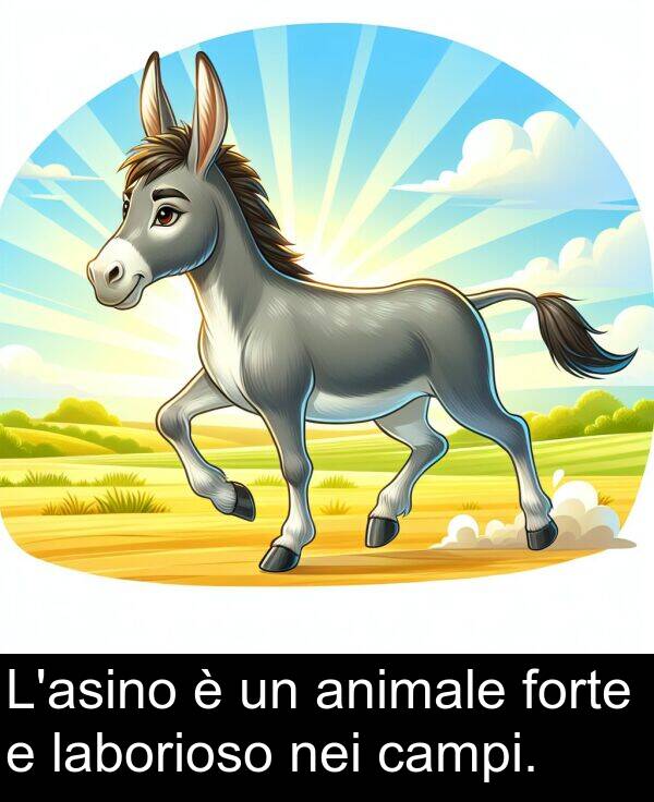 nei: L'asino è un animale forte e laborioso nei campi.