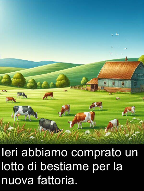 abbiamo: Ieri abbiamo comprato un lotto di bestiame per la nuova fattoria.