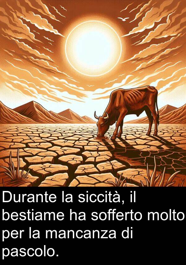 pascolo: Durante la siccità, il bestiame ha sofferto molto per la mancanza di pascolo.