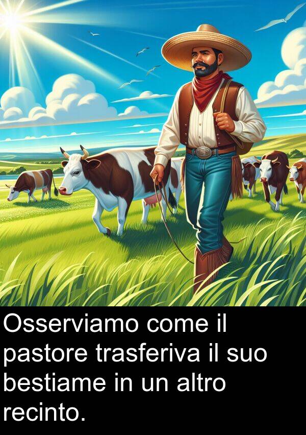 recinto: Osserviamo come il pastore trasferiva il suo bestiame in un altro recinto.