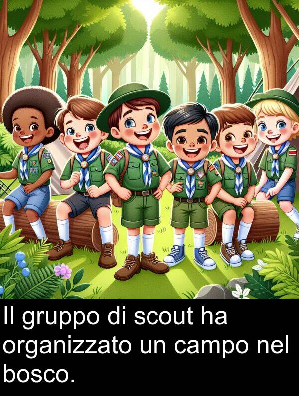 organizzato: Il gruppo di scout ha organizzato un campo nel bosco.