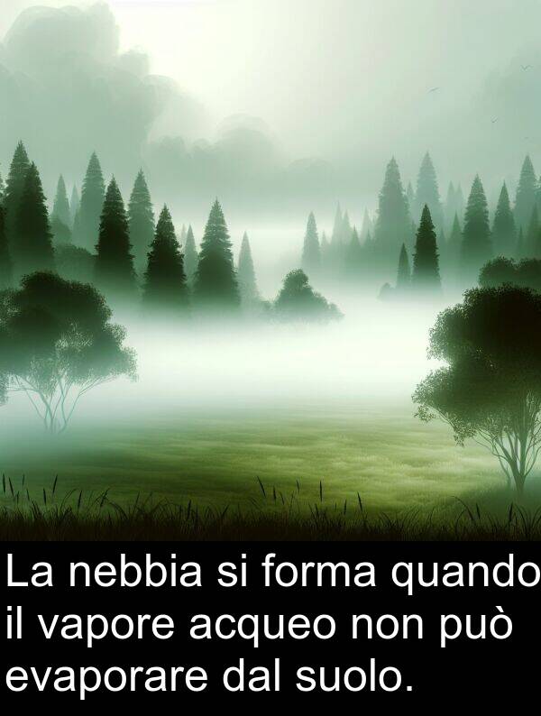 vapore: La nebbia si forma quando il vapore acqueo non può evaporare dal suolo.