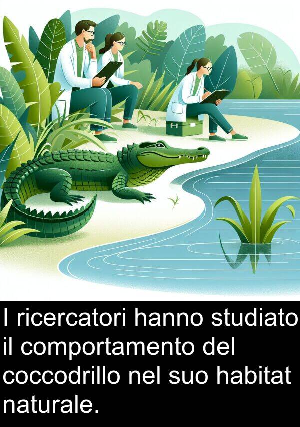 naturale: I ricercatori hanno studiato il comportamento del coccodrillo nel suo habitat naturale.