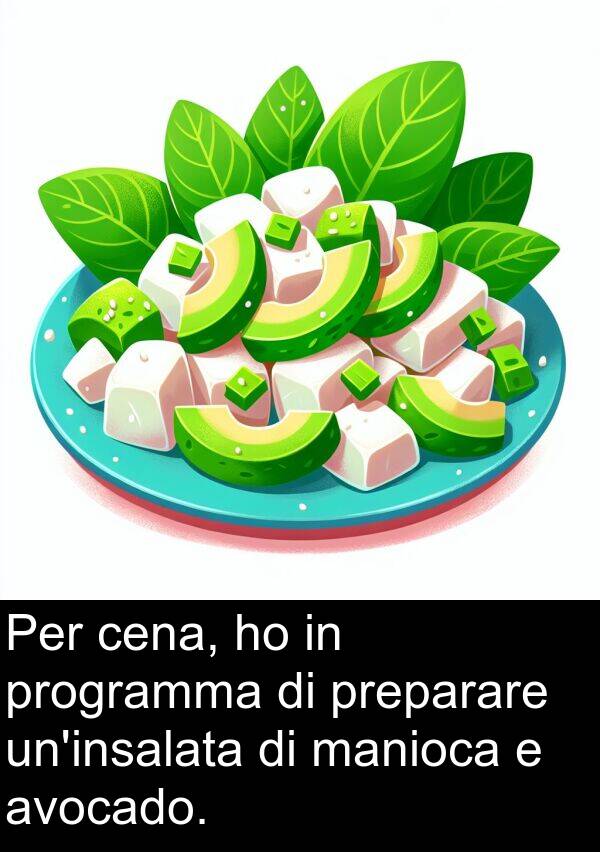 manioca: Per cena, ho in programma di preparare un'insalata di manioca e avocado.