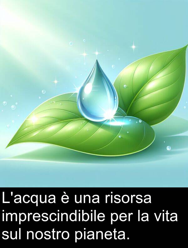 nostro: L'acqua è una risorsa imprescindibile per la vita sul nostro pianeta.