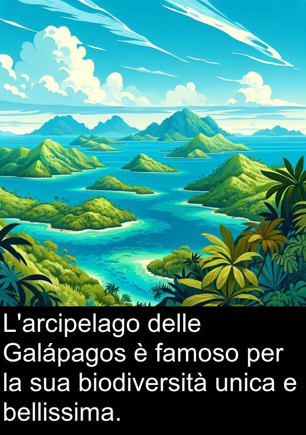 famoso: L'arcipelago delle Galápagos è famoso per la sua biodiversità unica e bellissima.