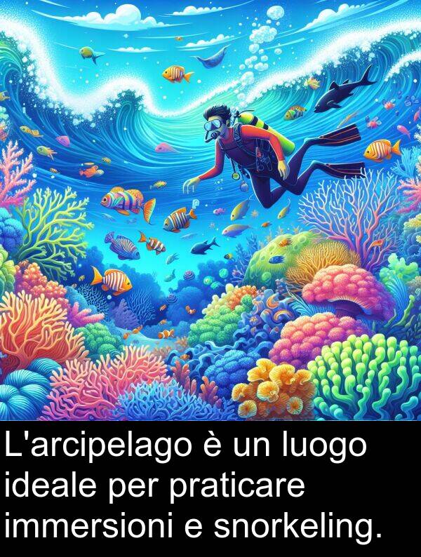 immersioni: L'arcipelago è un luogo ideale per praticare immersioni e snorkeling.