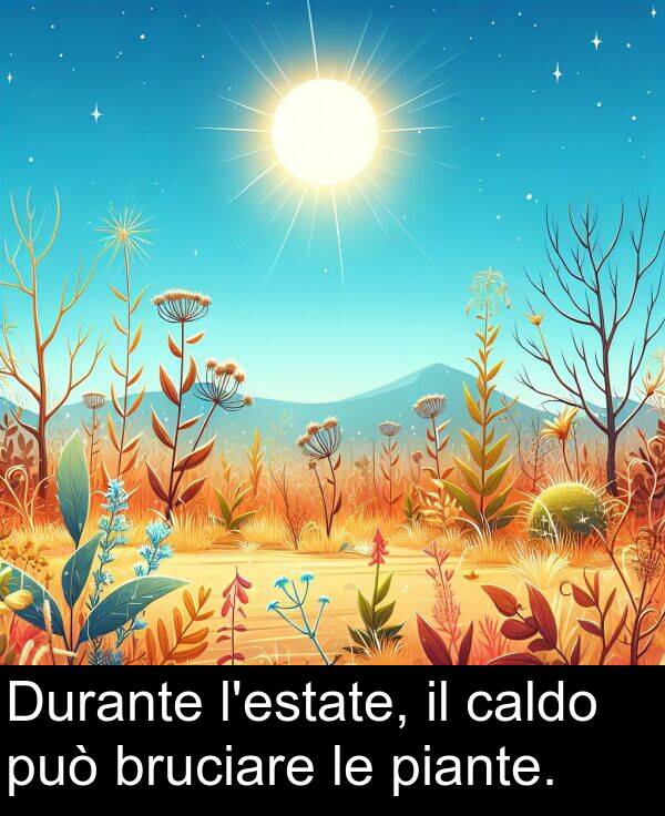 caldo: Durante l'estate, il caldo può bruciare le piante.