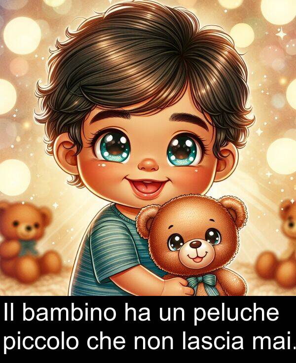 non: Il bambino ha un peluche piccolo che non lascia mai.