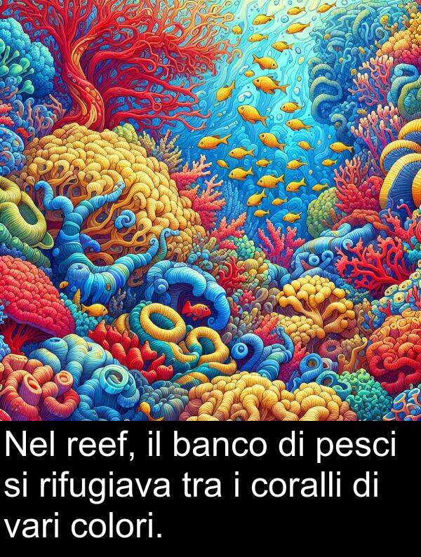 vari: Nel reef, il banco di pesci si rifugiava tra i coralli di vari colori.