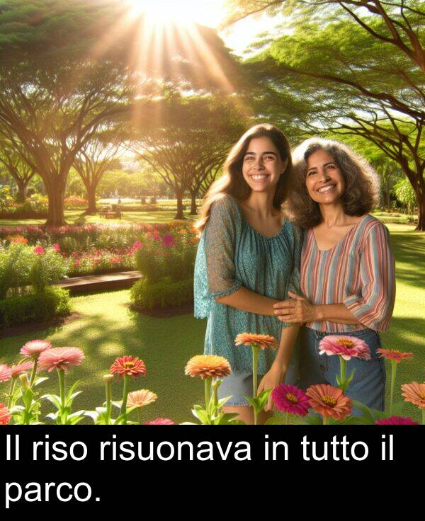 risuonava: Il riso risuonava in tutto il parco.