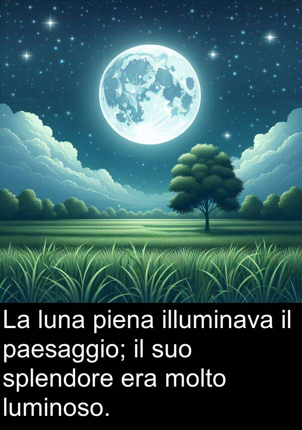 paesaggio: La luna piena illuminava il paesaggio; il suo splendore era molto luminoso.