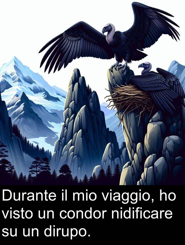 viaggio: Durante il mio viaggio, ho visto un condor nidificare su un dirupo.