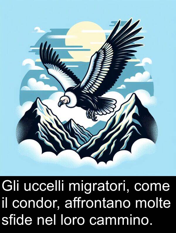 uccelli: Gli uccelli migratori, come il condor, affrontano molte sfide nel loro cammino.