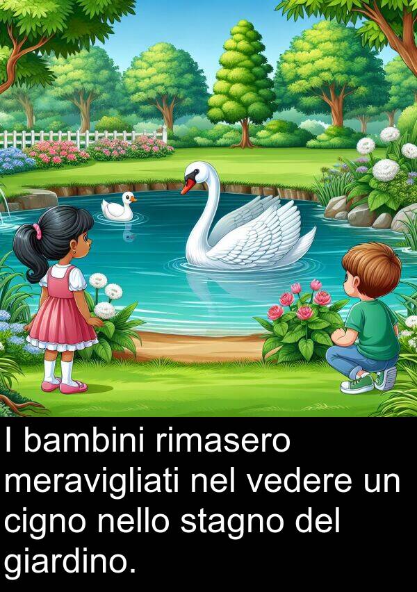 rimasero: I bambini rimasero meravigliati nel vedere un cigno nello stagno del giardino.