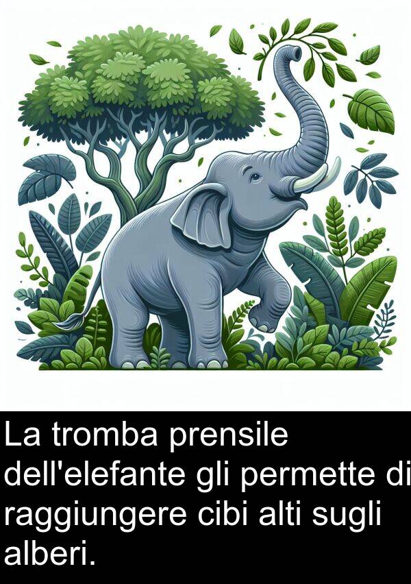 raggiungere: La tromba prensile dell'elefante gli permette di raggiungere cibi alti sugli alberi.