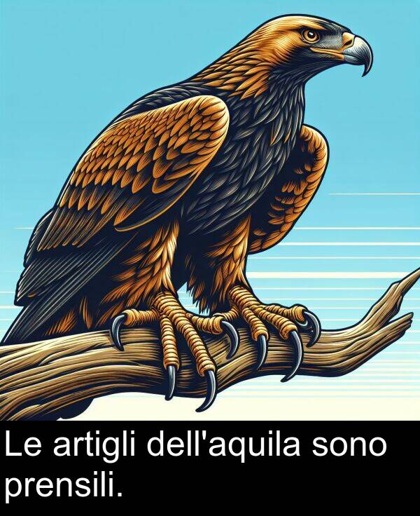 sono: Le artigli dell'aquila sono prensili.