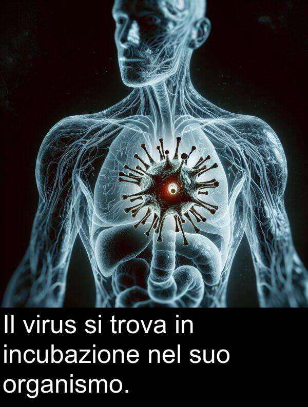 organismo: Il virus si trova in incubazione nel suo organismo.