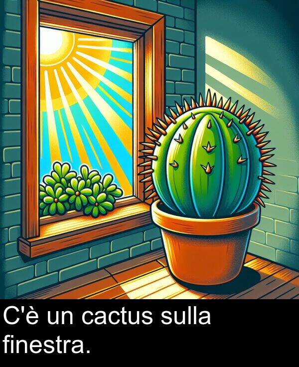 cactus: C'è un cactus sulla finestra.