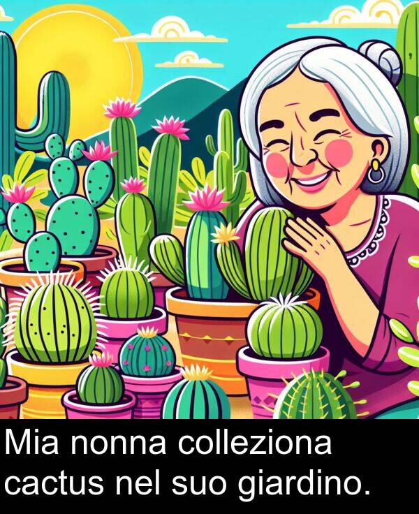 nel: Mia nonna colleziona cactus nel suo giardino.