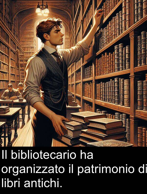 organizzato: Il bibliotecario ha organizzato il patrimonio di libri antichi.