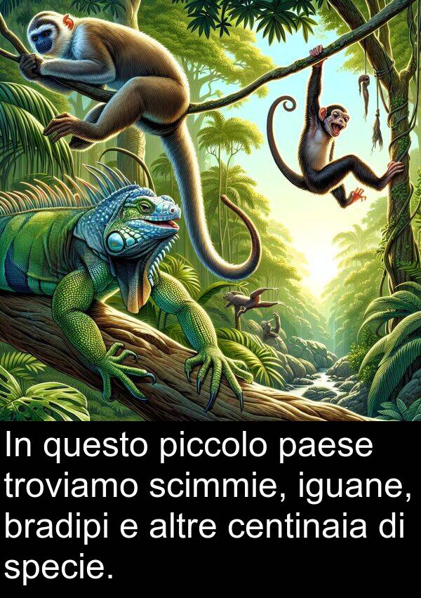 iguane: In questo piccolo paese troviamo scimmie, iguane, bradipi e altre centinaia di specie.