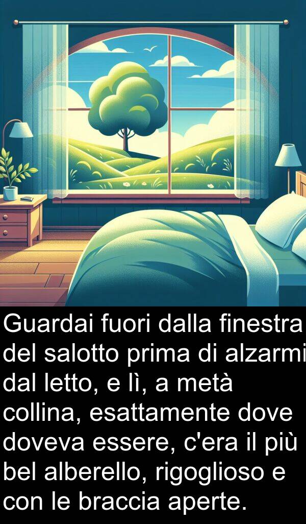 letto: Guardai fuori dalla finestra del salotto prima di alzarmi dal letto, e lì, a metà collina, esattamente dove doveva essere, c'era il più bel alberello, rigoglioso e con le braccia aperte.