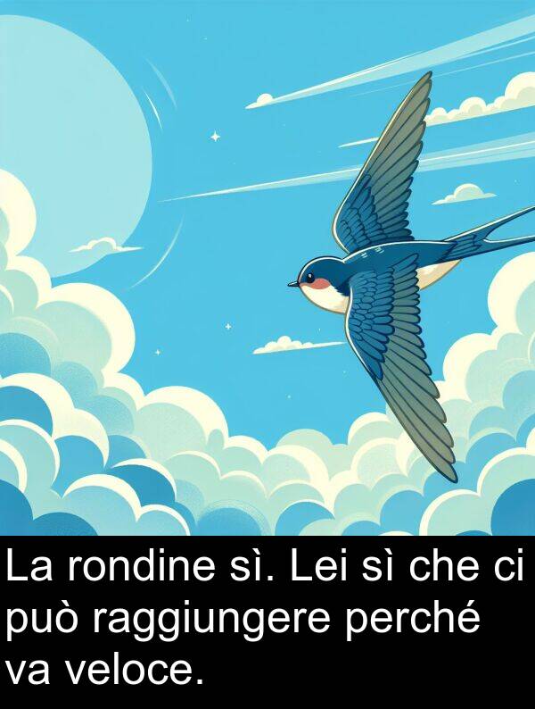 veloce: La rondine sì. Lei sì che ci può raggiungere perché va veloce.