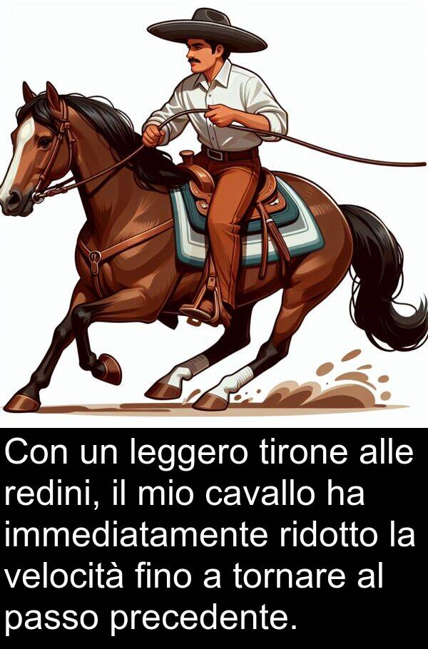 velocità: Con un leggero tirone alle redini, il mio cavallo ha immediatamente ridotto la velocità fino a tornare al passo precedente.