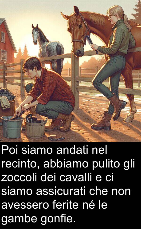 abbiamo: Poi siamo andati nel recinto, abbiamo pulito gli zoccoli dei cavalli e ci siamo assicurati che non avessero ferite né le gambe gonfie.