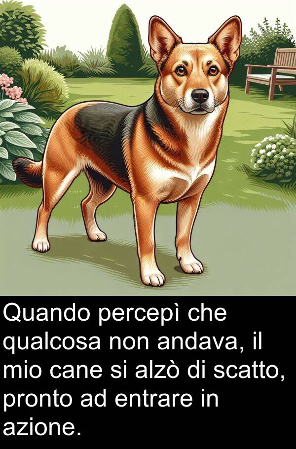 qualcosa: Quando percepì che qualcosa non andava, il mio cane si alzò di scatto, pronto ad entrare in azione.