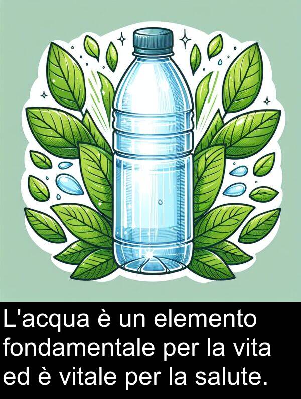 salute: L'acqua è un elemento fondamentale per la vita ed è vitale per la salute.