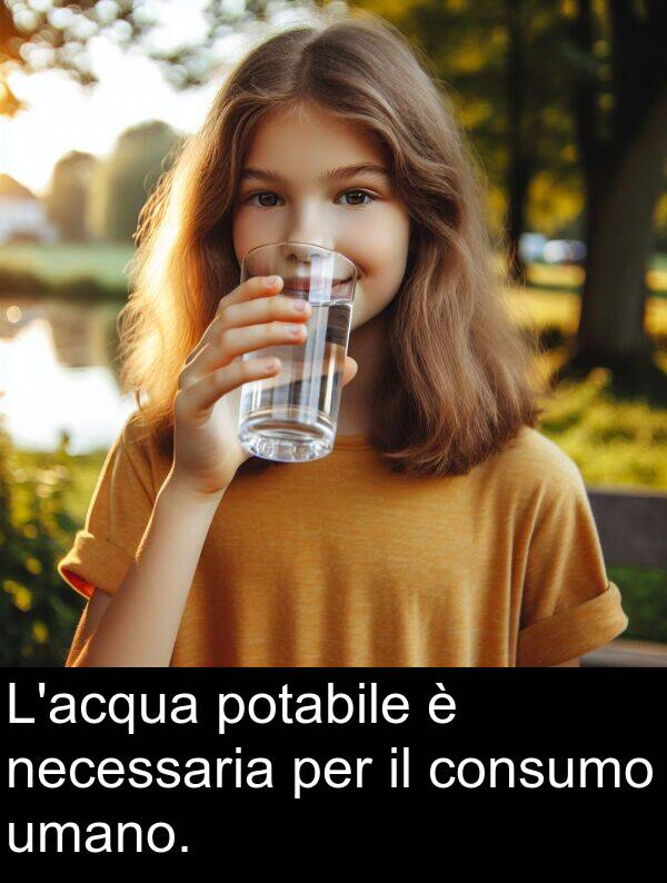 potabile: L'acqua potabile è necessaria per il consumo umano.