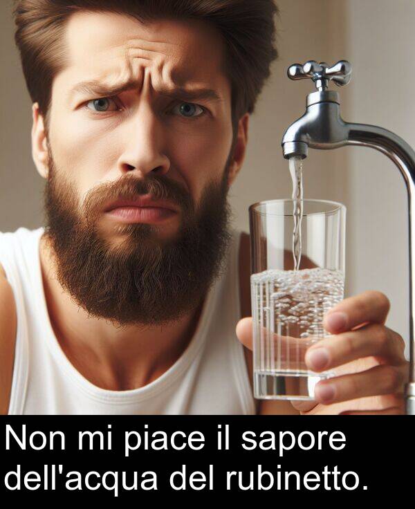 sapore: Non mi piace il sapore dell'acqua del rubinetto.