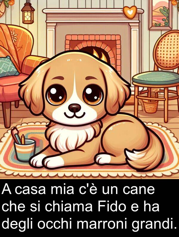 chiama: A casa mia c'è un cane che si chiama Fido e ha degli occhi marroni grandi.