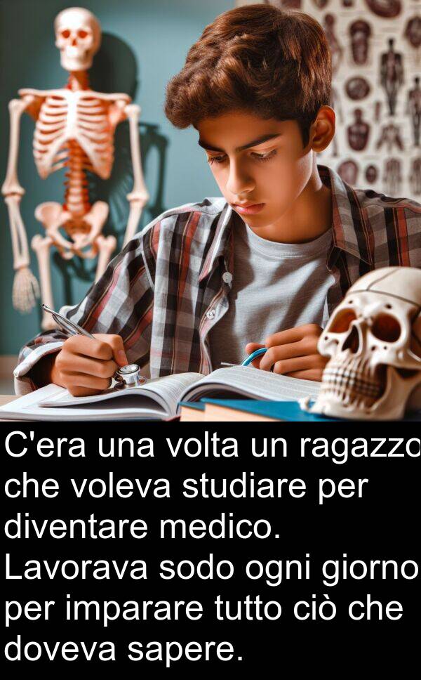 imparare: C'era una volta un ragazzo che voleva studiare per diventare medico. Lavorava sodo ogni giorno per imparare tutto ciò che doveva sapere.