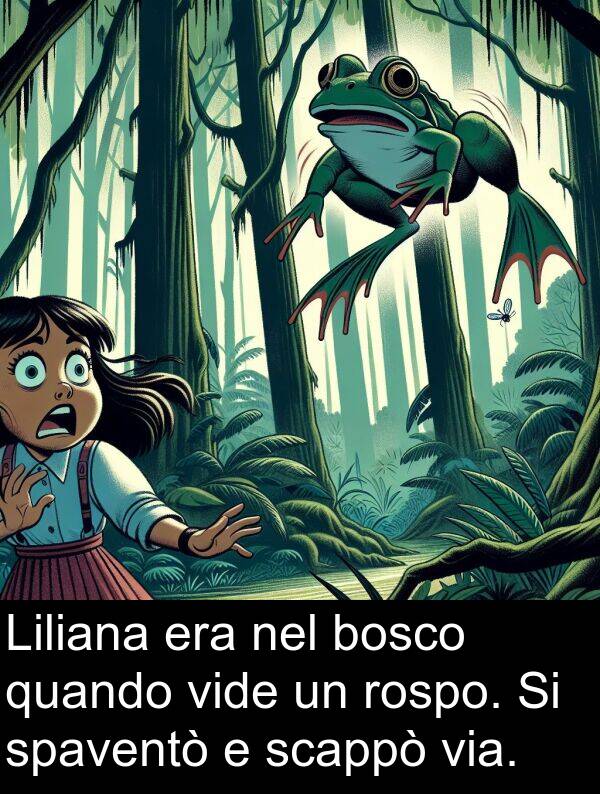 spaventò: Liliana era nel bosco quando vide un rospo. Si spaventò e scappò via.