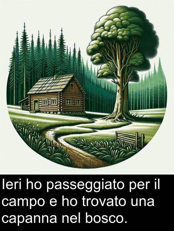 campo: Ieri ho passeggiato per il campo e ho trovato una capanna nel bosco.