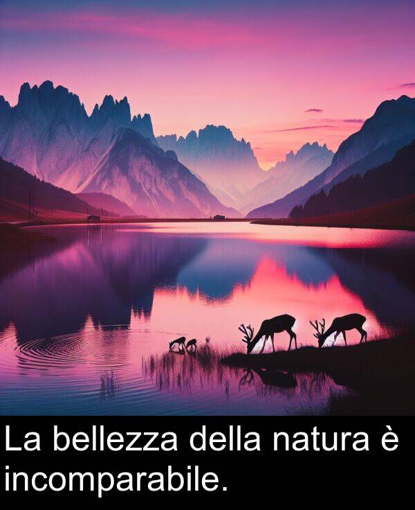 natura: La bellezza della natura è incomparabile.