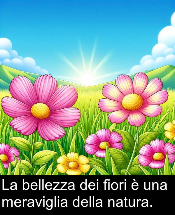 natura: La bellezza dei fiori è una meraviglia della natura.