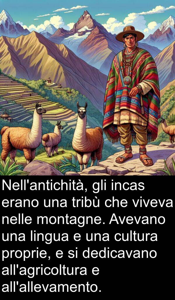 nelle: Nell'antichità, gli incas erano una tribù che viveva nelle montagne. Avevano una lingua e una cultura proprie, e si dedicavano all'agricoltura e all'allevamento.