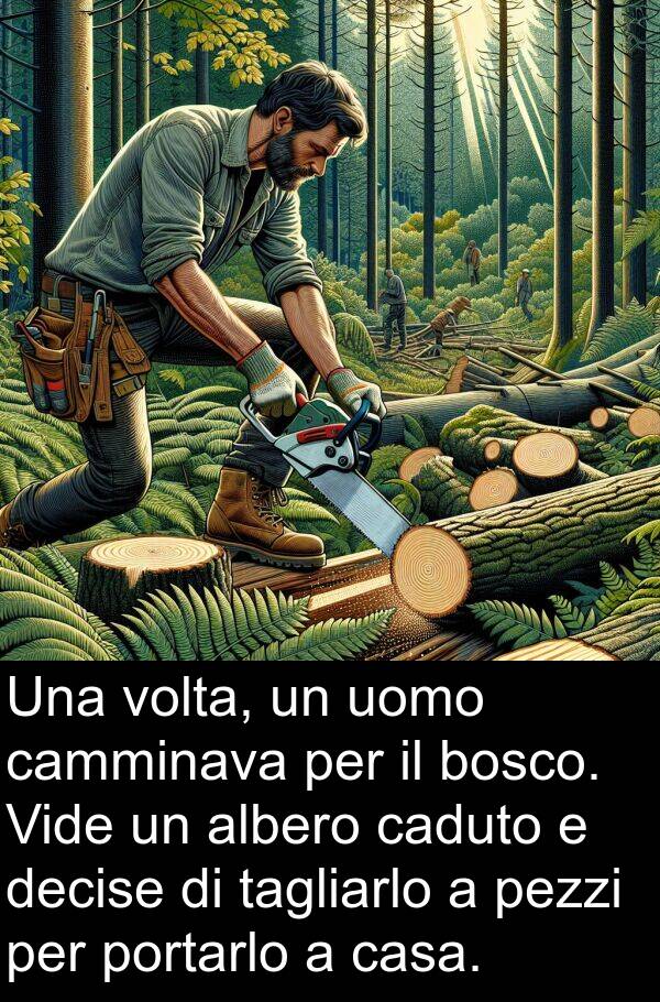 camminava: Una volta, un uomo camminava per il bosco. Vide un albero caduto e decise di tagliarlo a pezzi per portarlo a casa.