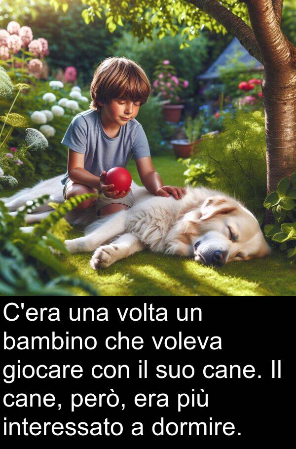 giocare: C'era una volta un bambino che voleva giocare con il suo cane. Il cane, però, era più interessato a dormire.