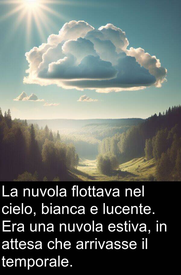 temporale: La nuvola flottava nel cielo, bianca e lucente. Era una nuvola estiva, in attesa che arrivasse il temporale.