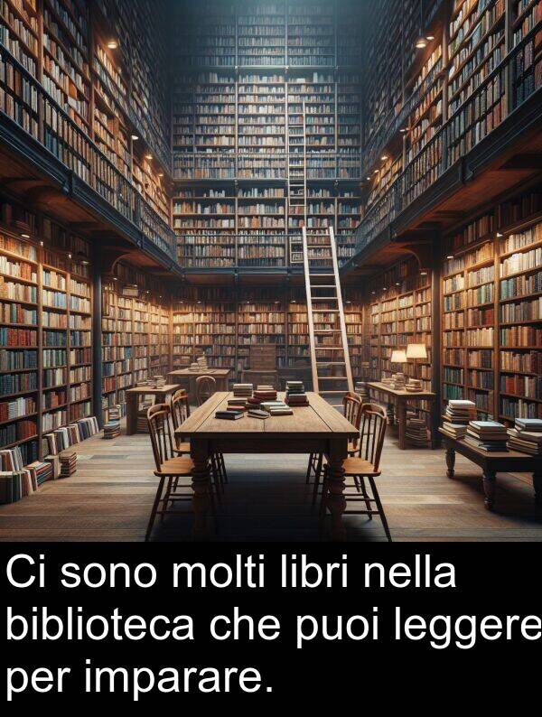 imparare: Ci sono molti libri nella biblioteca che puoi leggere per imparare.