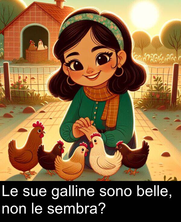 non: Le sue galline sono belle, non le sembra?