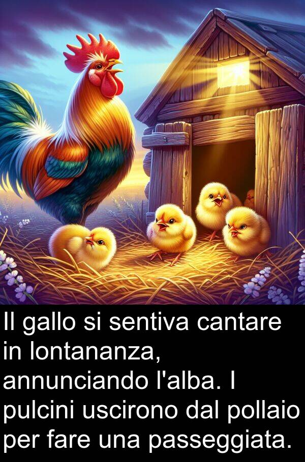 uscirono: Il gallo si sentiva cantare in lontananza, annunciando l'alba. I pulcini uscirono dal pollaio per fare una passeggiata.