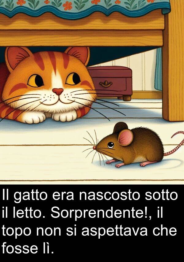 sotto: Il gatto era nascosto sotto il letto. Sorprendente!, il topo non si aspettava che fosse lì.