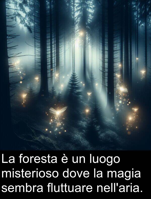 magia: La foresta è un luogo misterioso dove la magia sembra fluttuare nell'aria.