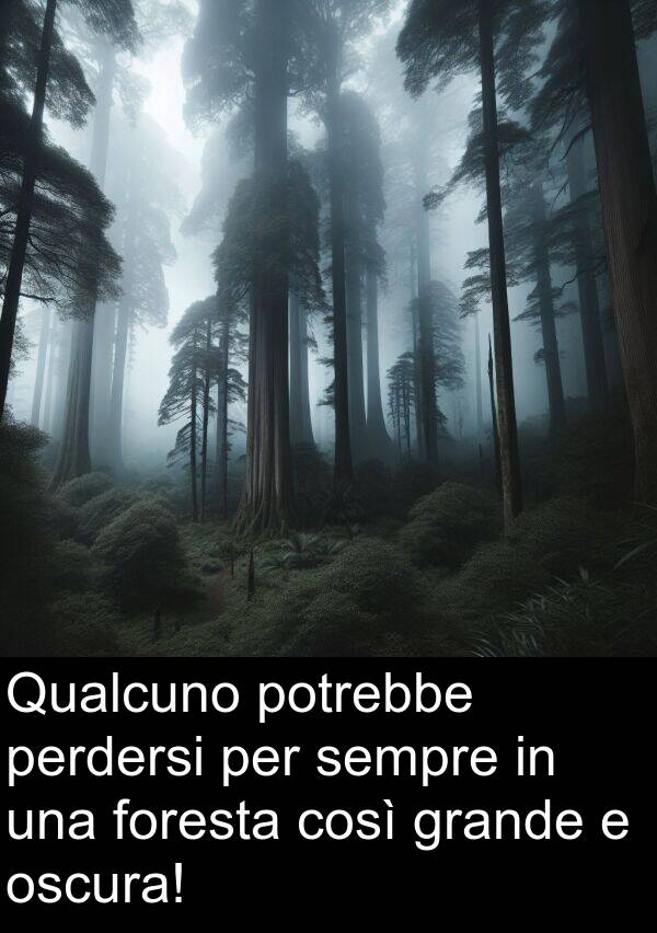 oscura: Qualcuno potrebbe perdersi per sempre in una foresta così grande e oscura!